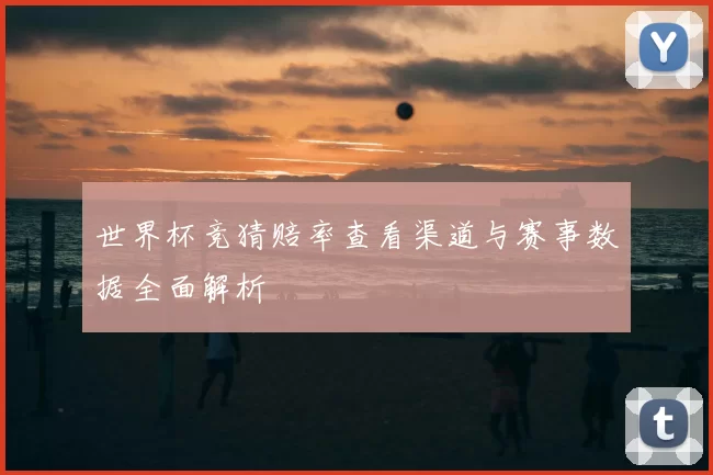 世界杯竞猜赔率查看渠道与赛事数据全面解析